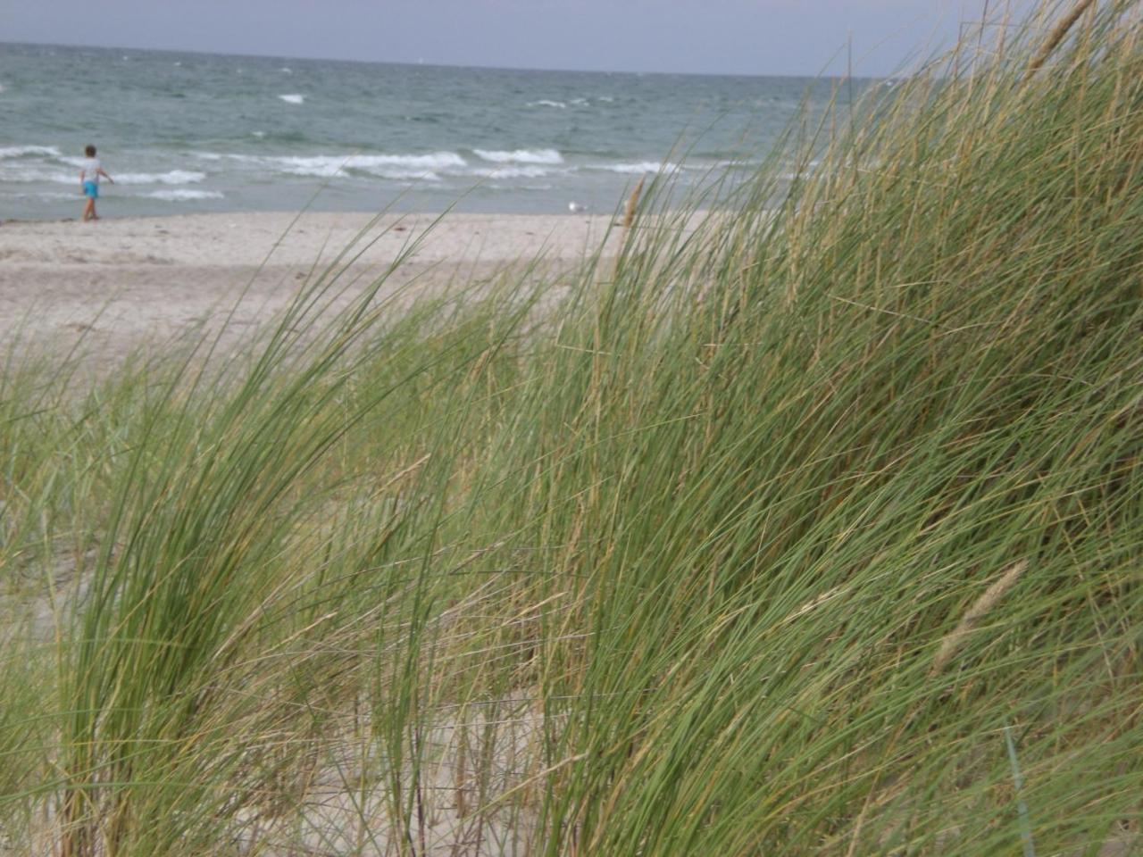 징스트 Achtern - Diek - Am Strand 아파트 외부 사진