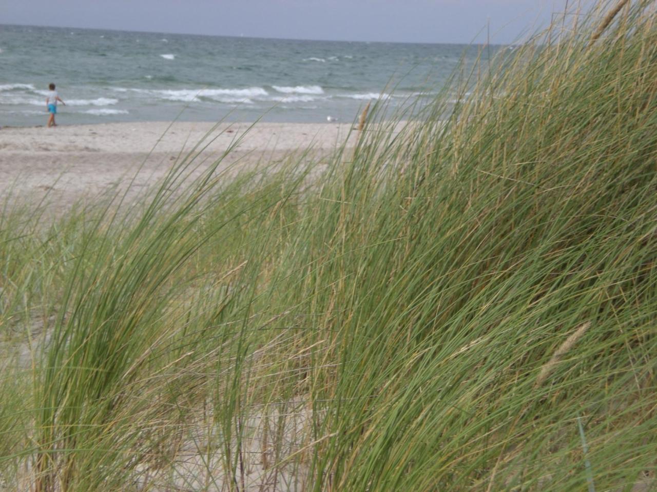 Achtern - Diek - Am Strand 징스트 외부 사진