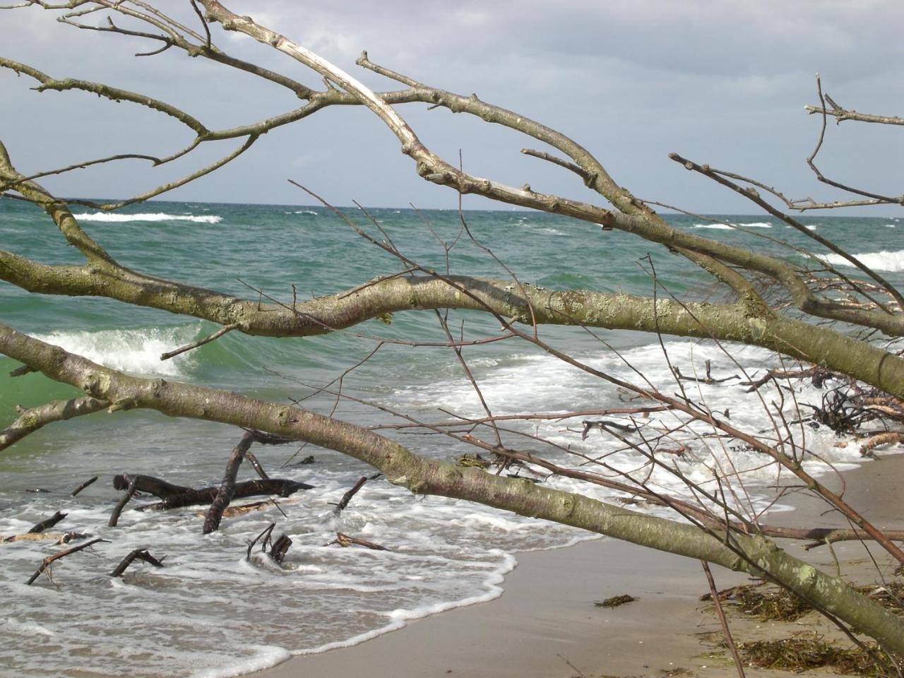 Achtern - Diek - Am Strand 징스트 외부 사진