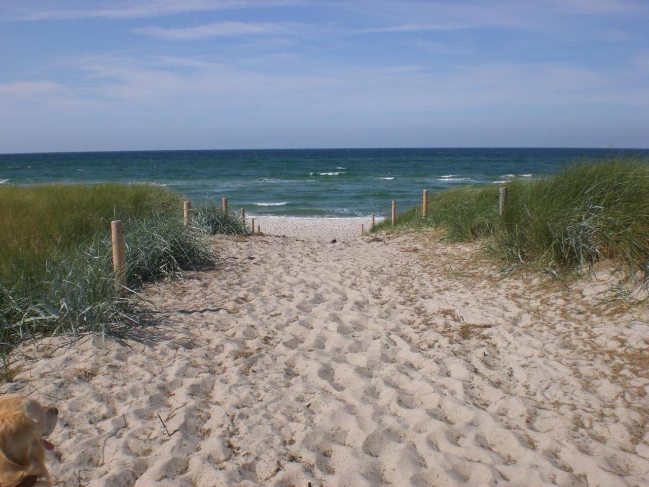 Achtern - Diek - Am Strand 징스트 외부 사진